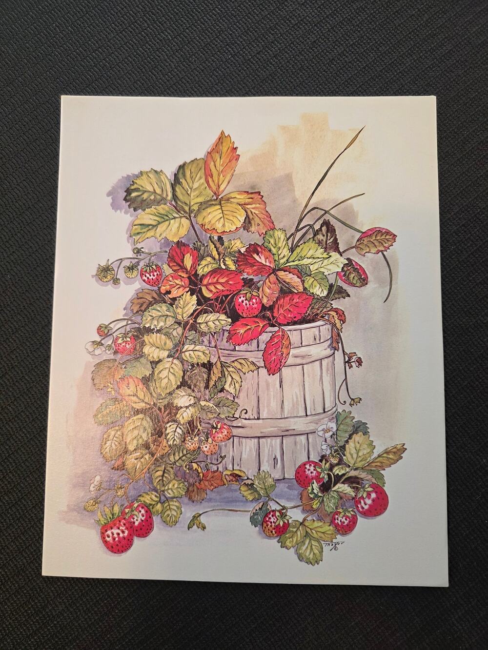 Vtg 1983 Strawberries in Rustic Wooden Bucket by Thayer Watercolor Print 8 X 10